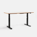 HyperWork Atlas Sit-Stand Desk | DP01