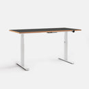HyperWork Atlas Sit-Stand Desk | DP01