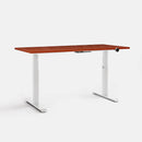 HyperWork Atlas Sit-Stand Desk | DP01
