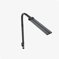 HyperWork Luna LED Desk Lamp | DL01