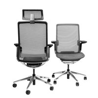 Sleek Ergonomic Chair | OC01